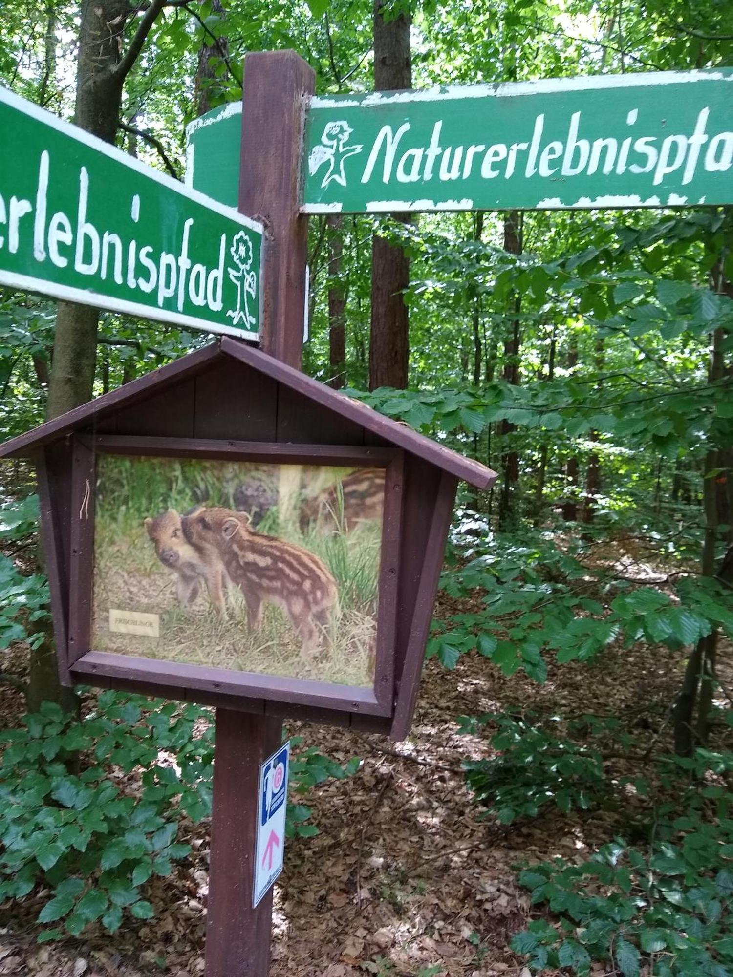 Zwei Seen Ferienhaus Canow Exterior photo